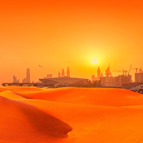 Dubai city tour & Desert safari