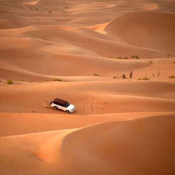 dune bashing