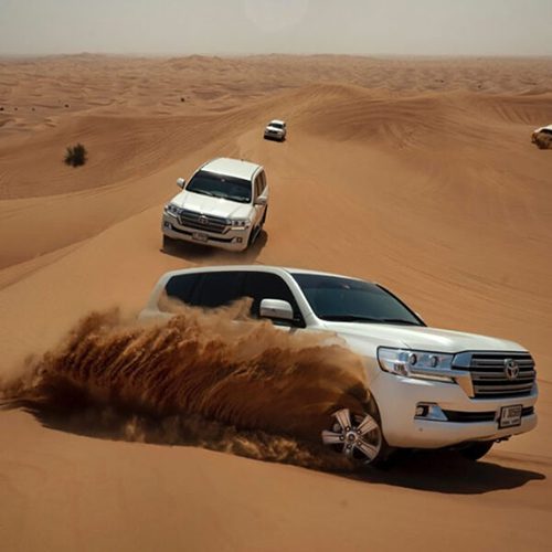 Dubai evening desert safari with bbq dinner