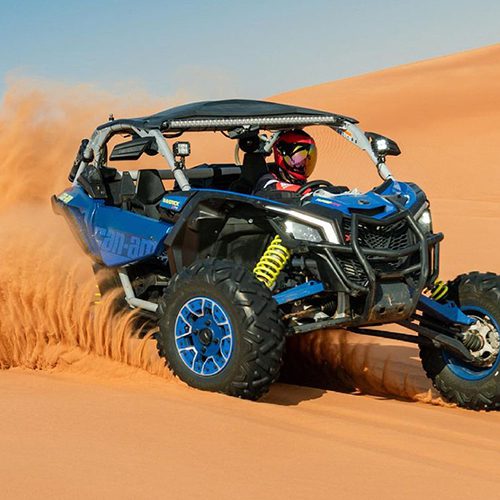 RZR 1000CC